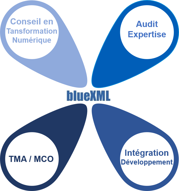 Activités BlueXML