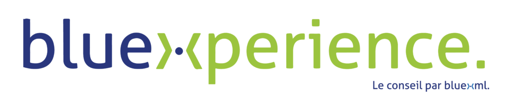 Accompagnement GED, BPM, ECM bluexperience