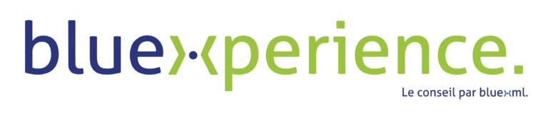 Accompagnement GED, BPM, ECM bluexperience