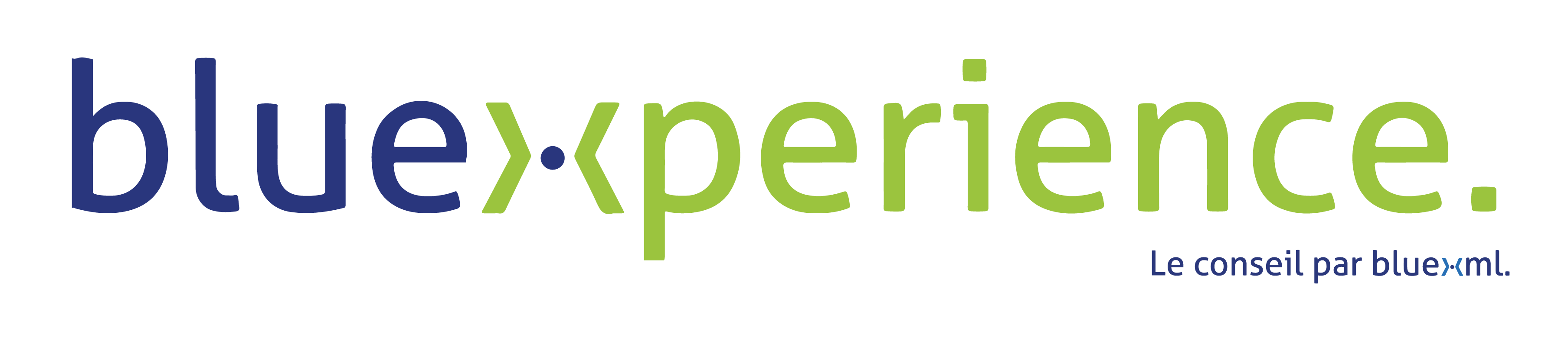 Accompagnement GED, BPM, ECM bluexperience